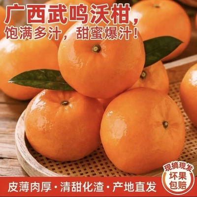 广西新鲜采摘武鸣沃柑