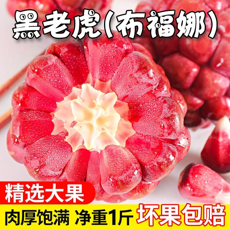 云南高山黑老虎水果当季新鲜水果福布娜恶魔果实血藤果罕见水果,水产肉类/新鲜蔬果/熟食,其它,淘宝优惠券,粉丝福利购,淘宝优惠卷