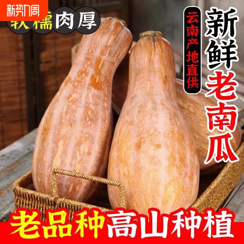 云南老品种南瓜农家自种板栗南瓜粉甜南瓜新鲜蔬菜宝宝辅食简餐