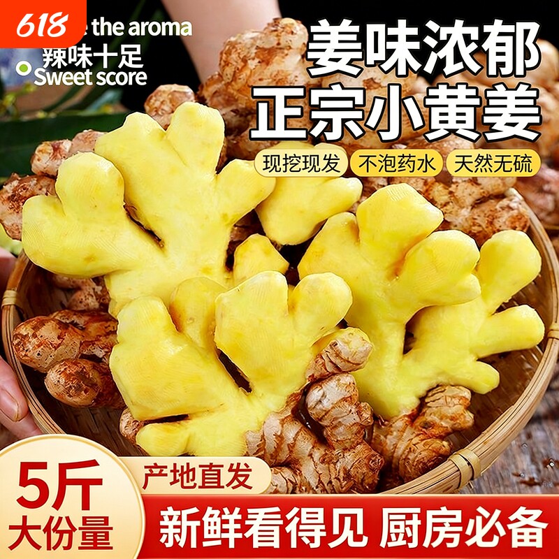 生姜老姜云南小黄姜红河新鲜老姜现挖高山沙姜土姜5斤老姜
