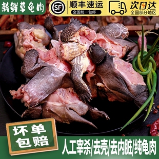 中华草龟肉乌龟肉清莲金龟可食用乌龟肉新鲜速冻去壳去内脏 煲汤
