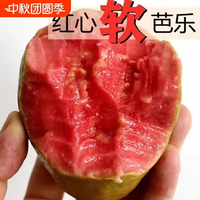 口感真的无敌棒爆款！奶油芭乐