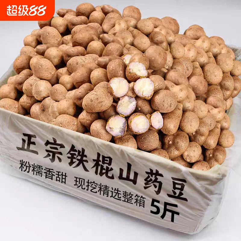 铁棍山药豆新鲜山药豆现摘农家冰糖葫芦用豆山药蛋农家种植产地