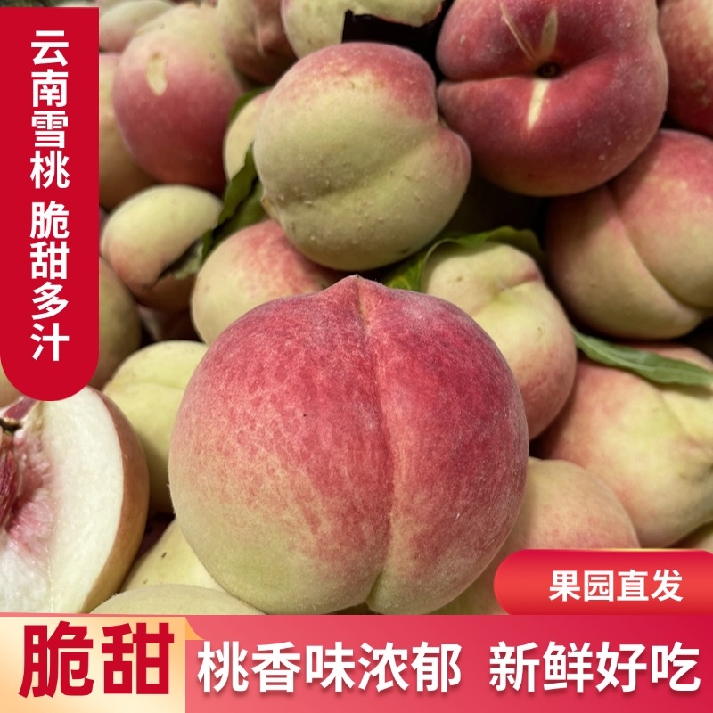 特大果云南大理冬桃子脆桃新鲜甜雪毛桃子10斤现摘水蜜桃水果