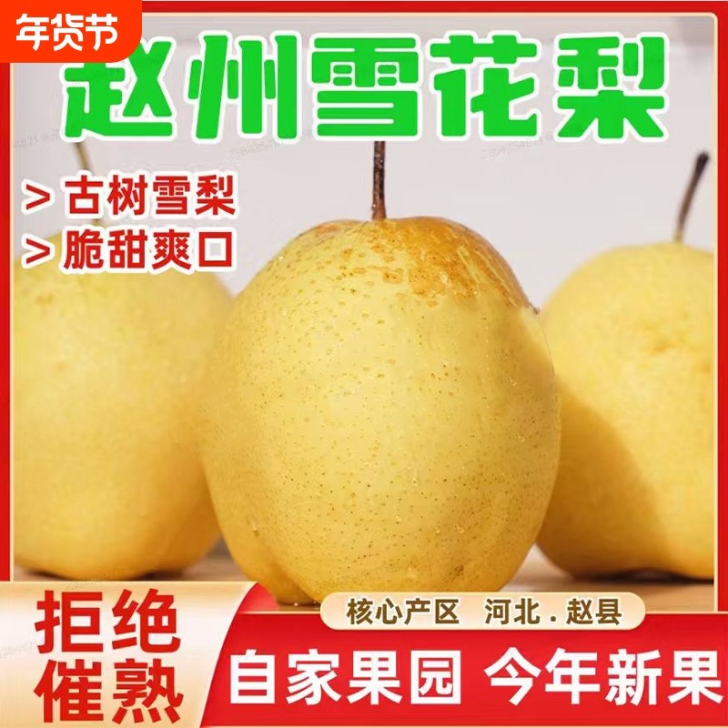 河北赵县雪花梨新鲜当季特级雪梨秋冬水果9斤整箱包邮梨子批发,水产肉类/新鲜蔬果/熟食,梨,淘宝优惠券,粉丝福利购,淘宝优惠卷