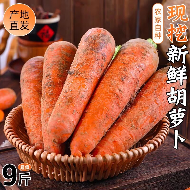 新鲜正宗河南胡萝卜现挖现发带泥农家自种蔬菜红萝卜脆甜宝宝辅食
