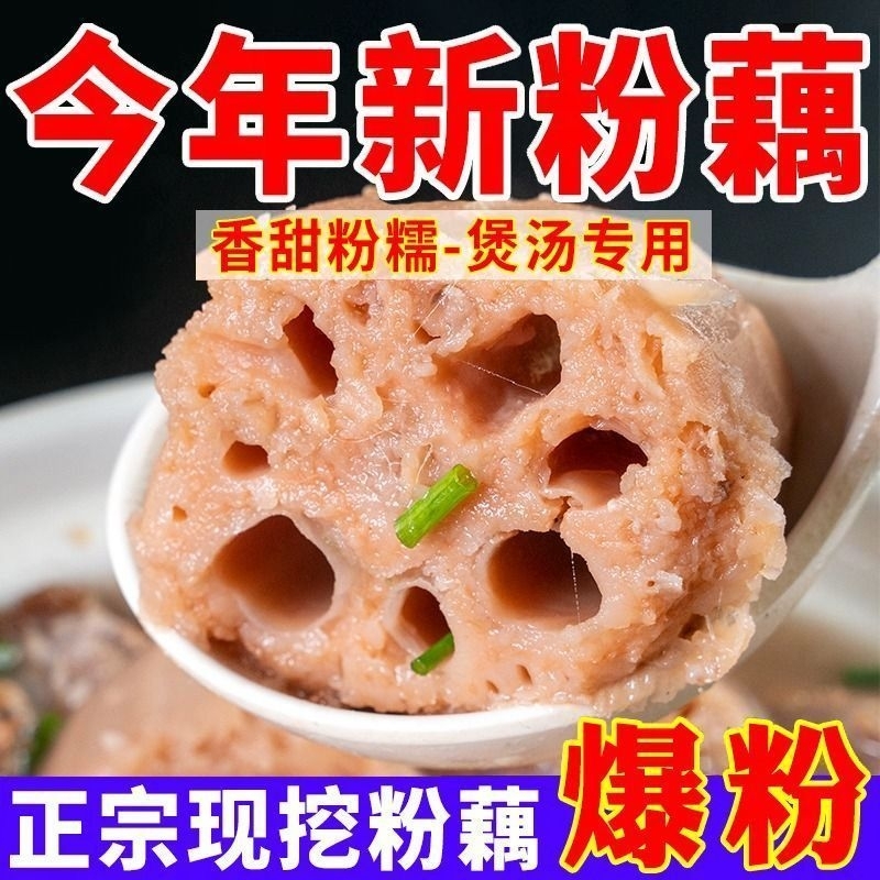 洪湖粉藕新鲜现挖中段煲汤粉糯