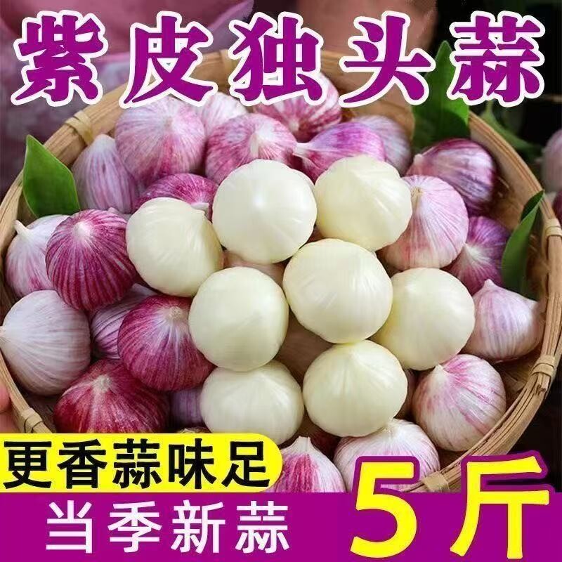 新鲜正宗紫皮独头蒜批发新晒干蒜大蒜头农家独蒜蔬菜包邮