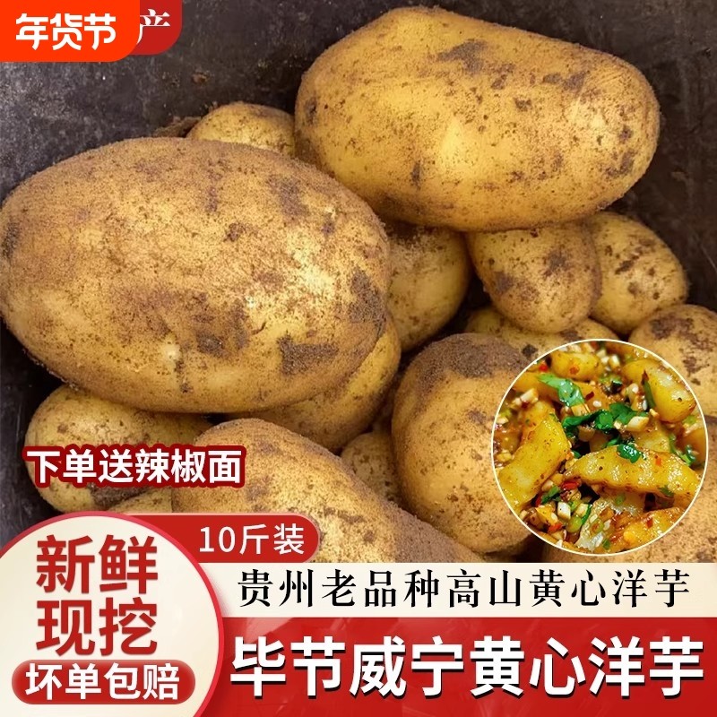 新货黄心土豆黄皮沙面粉糯新鲜现挖马铃薯洋芋,水产肉类/新鲜蔬果/熟食,土豆,淘宝优惠券,粉丝福利购,淘宝优惠卷