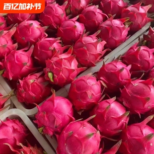 红心火龙果当季新鲜水果整箱云南金都一号火龙果大果5斤海南