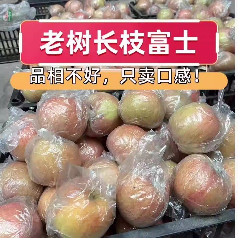 2025新果脆甜丑苹果正宗高原红富士新鲜苹果冰糖心批发优选好吃的