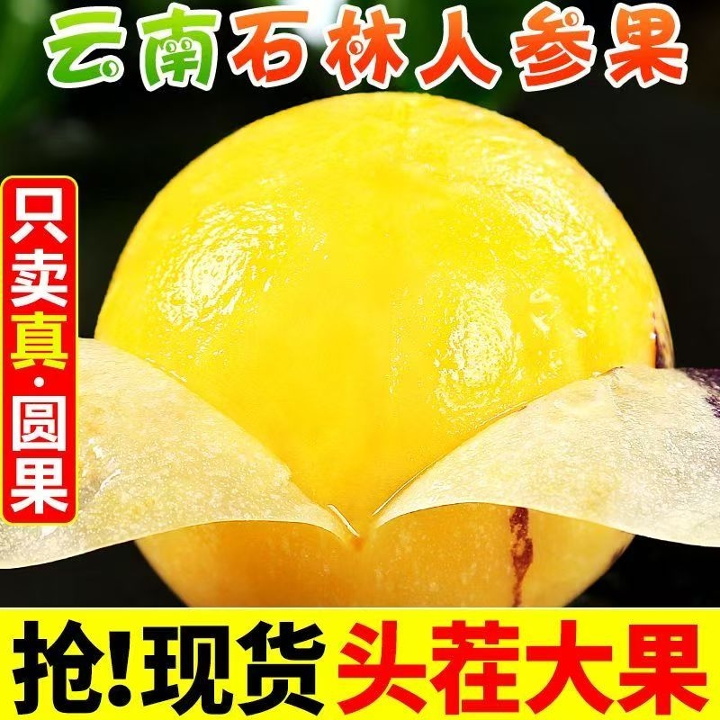 人参果新鲜云南石林人叁果圆果人生果娃娃果七彩黄肉水果整箱包邮