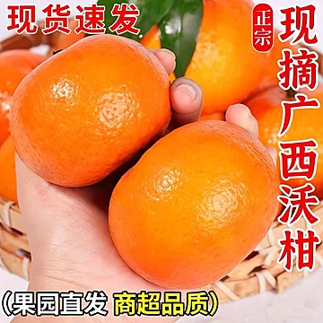正宗广西武鸣爆甜沃柑4.5斤（60mm+）