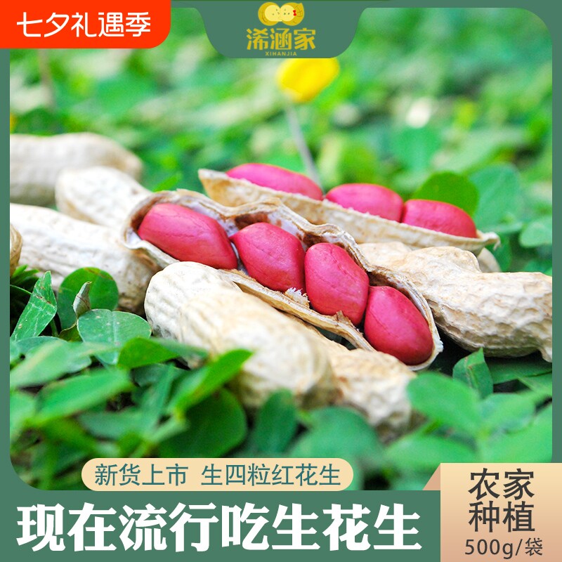25年红皮花生米新货5斤四粒红新鲜晒干红衣小花生原味带壳生花生