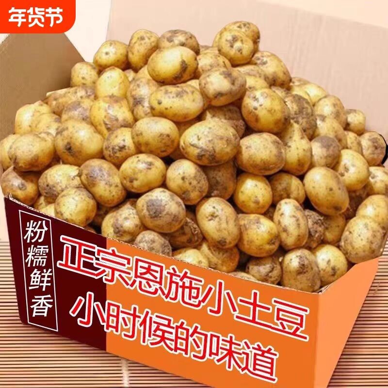 恩施农家新鲜小土豆现挖高山黄心洋芋迷你黄皮马铃薯蔬菜正宗批发