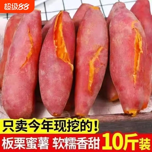 沙土地蜜薯10斤新鲜红薯农家自种红薯黄心超甜地瓜番薯黄心板栗薯