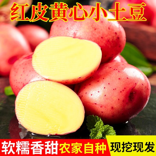 2026年新鲜云南红皮土豆3/5/9斤新鲜黄心土豆高原红皮洋芋