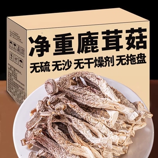 古田鹿茸菇干货鹿茸菌商用香菇煲汤新鲜蘑菇健康美味食材批发新货
