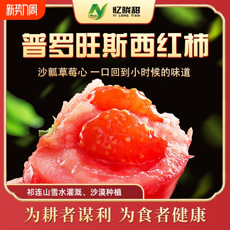 甘肃农家普罗旺斯水果西红柿现摘老品种生吃沙瓤水果普罗旺斯番茄
