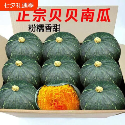 贝贝南瓜正宗板栗味当季小南瓜婴儿农家新鲜粉糯老瓜包邮早餐辅食