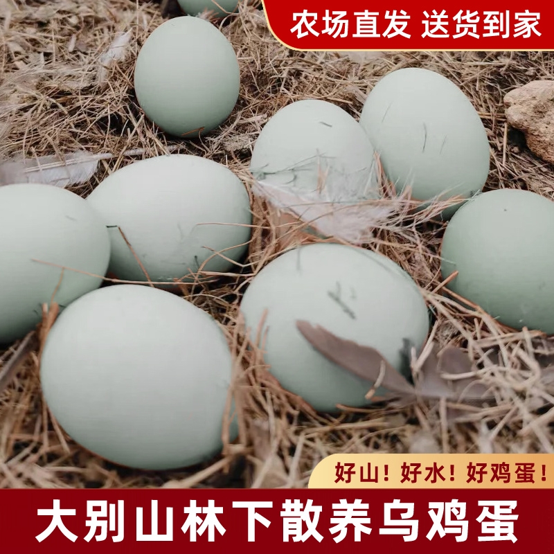 营养好乌鸡蛋大别山散养跑地鸡蛋