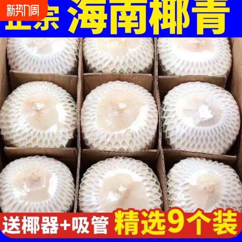 正宗海南新鲜椰子椰青2-9个装当季水果现摘去皮青椰子水整箱包邮