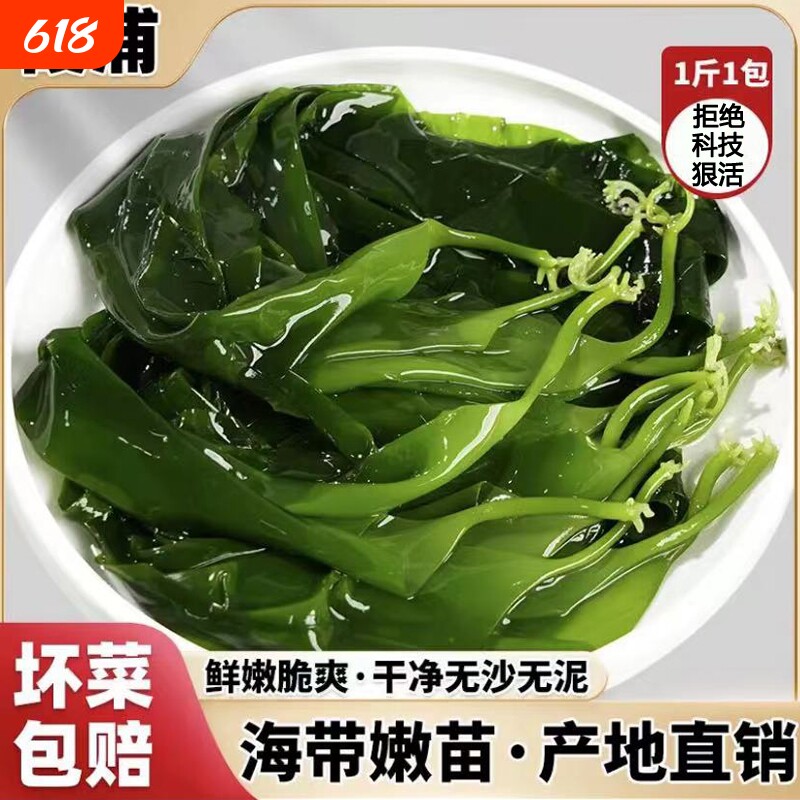 海带裙带菜海带苗嫩特级新鲜苗霞浦嫩火锅食材商用无添加鞭炮笋嫩