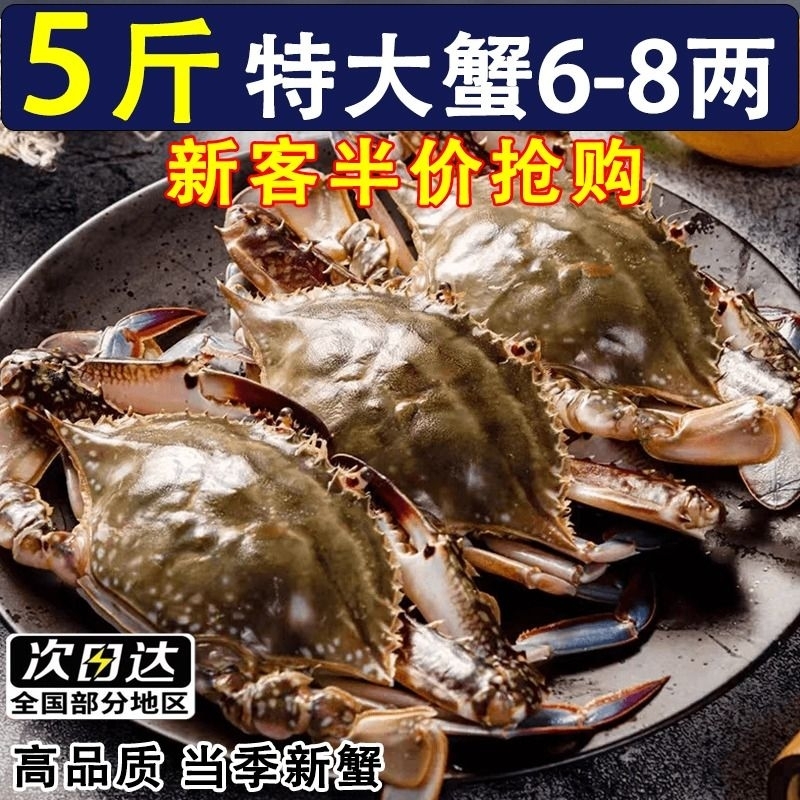 梭子蟹螃蟹海鲜新鲜冷冻海蟹水产飞蟹白蟹5斤包邮x冻蟹速冻鲜活