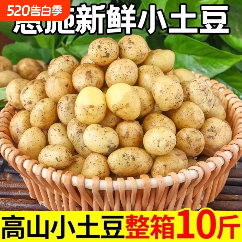 湖北恩施富硒小土豆新鲜现挖湖北黄心土豆蔬菜迷你土豆当季马铃薯