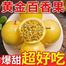 钦蜜九号黄金百香果净重2.5斤