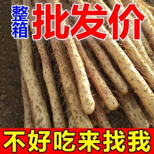 农家自种铁棍山药怀山药新鲜铁杆山药即食小白嘴山药宝宝辅食整箱
