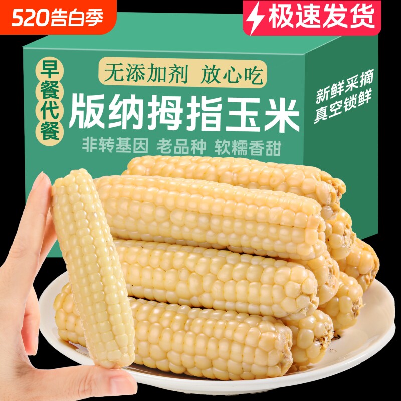小玉米云南西双版纳儿童拇指玉米宝宝辅食新鲜手指香糯早餐香甜