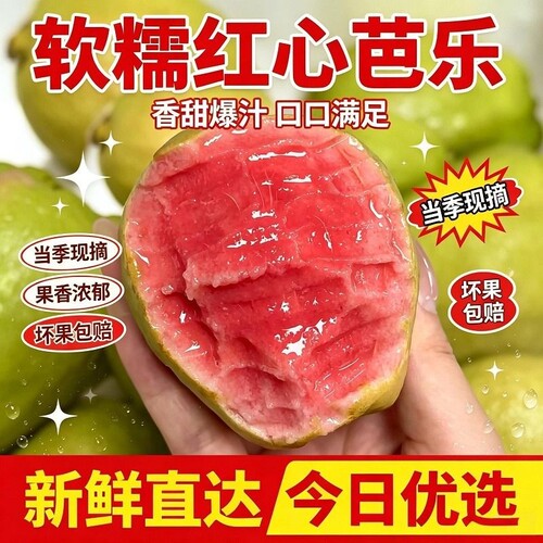 广西红心芭乐软糯|超3000次加购