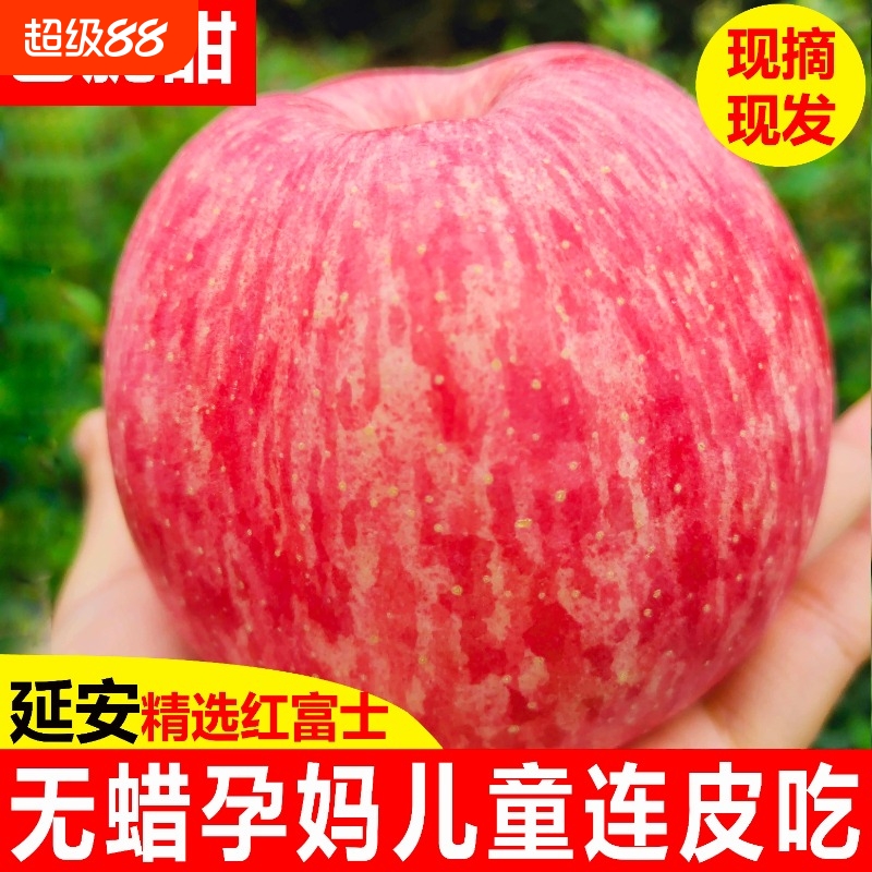 正宗陕西洛川脆甜苹果10斤箱装