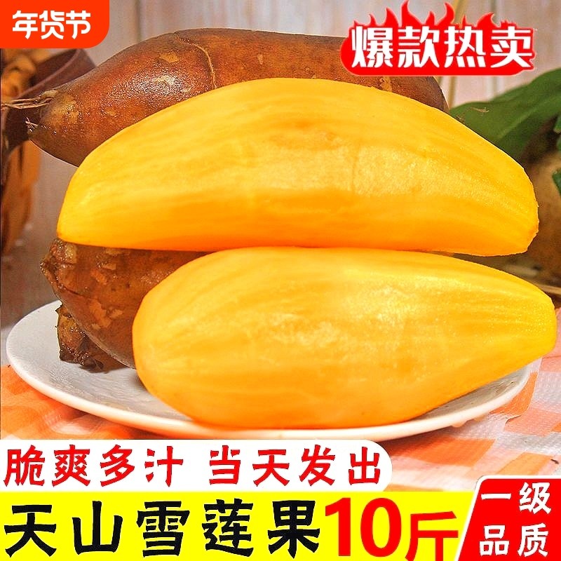 雪莲果新鲜水果5斤应当季现挖红心云南雪天山连果整箱包邮10,水产肉类/新鲜蔬果/熟食,雪莲果,淘宝优惠券,粉丝福利购,淘宝优惠卷