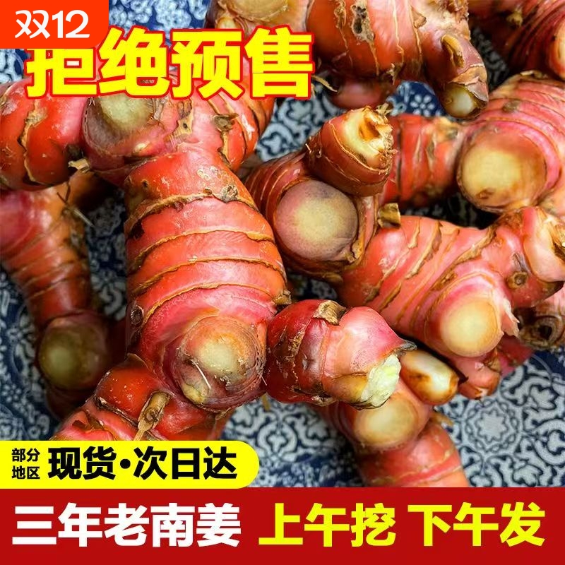 正宗潮汕南姜新鲜山姜良姜红皮白现挖生姜南姜新鲜南姜三年老南姜
