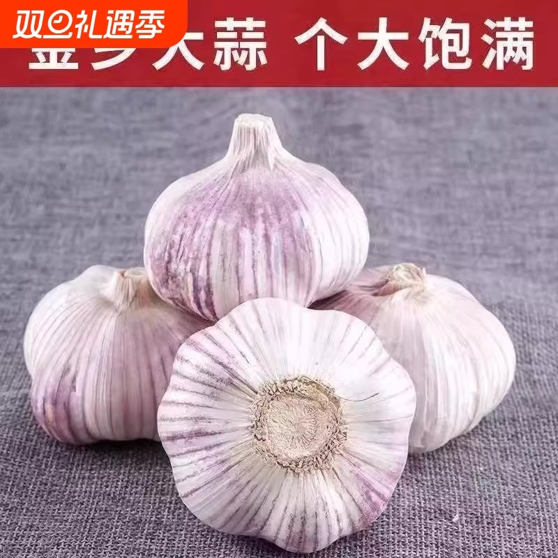 大蒜新干蒜白皮皮大蒜头当季蔬菜农家蒜种籽蒜瓣包邮新鲜鲜蒜自种