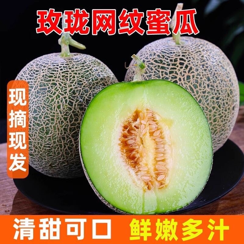 海南网纹瓜当季新鲜水果4斤中小果现摘甜香甜网纹西州蜜瓜包邮