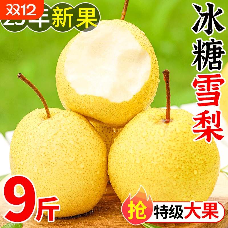 新鲜冰糖雪梨,产地直采,酥脆多汁