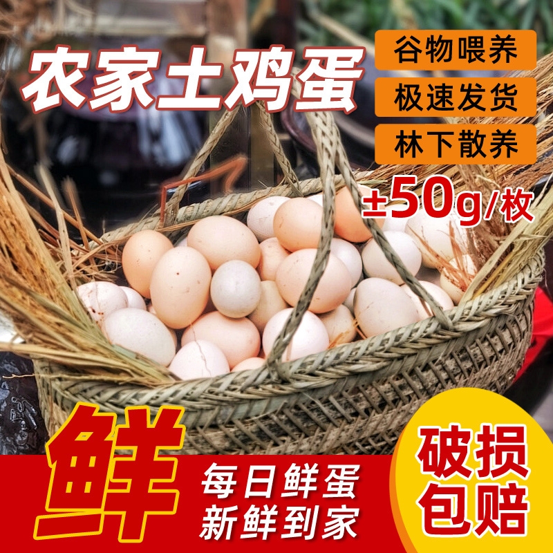 正宗土鸡蛋大别山孕妇儿童农村有机虫草蛋±50g散养谷物鲜蛋新鲜