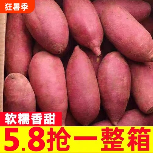 新鲜红薯沙地农家自种黄心地瓜9斤香薯小山芋番薯蜜薯现挖现发
