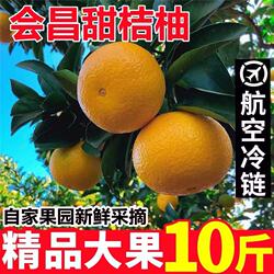 会昌桔柚新鲜水果江西赣南特产高山泉水灌溉自然成熟应季