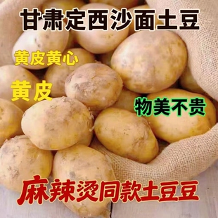 正宗甘肃定西土豆沙地黄皮黄心沙面粉糯新鲜15年现挖蔬菜整箱批发