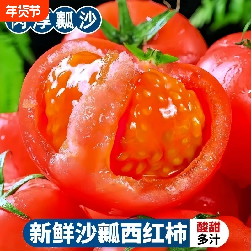 正宗沙瓤番茄生吃西红柿自然熟酸甜平衡现摘小果直发果肉紧实包邮,水产肉类/新鲜蔬果/熟食,番茄,淘宝优惠券,粉丝福利购,淘宝优惠卷