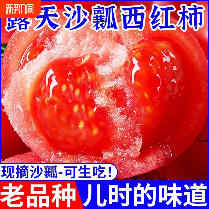 正宗泾阳普罗旺斯沙瓤西红柿子当季生吃水果番茄新鲜自然熟火晶脆