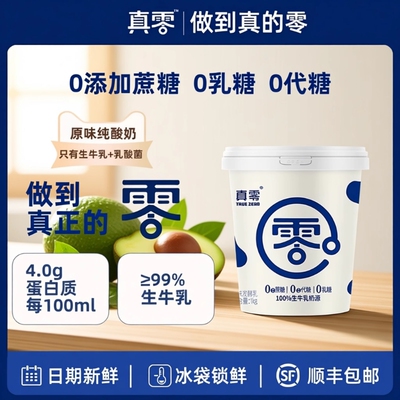 真零大桶酸奶低温顺丰送货上门