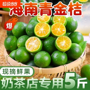 海南小青桔青金桔新鲜调料柠檬水果小柠檬蔬菜果园鲜果现摘小金