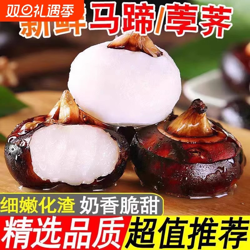 广西牛奶马蹄新鲜马蹄荸荠大马蹄农家白马蹄脆甜无渣水果蔬菜