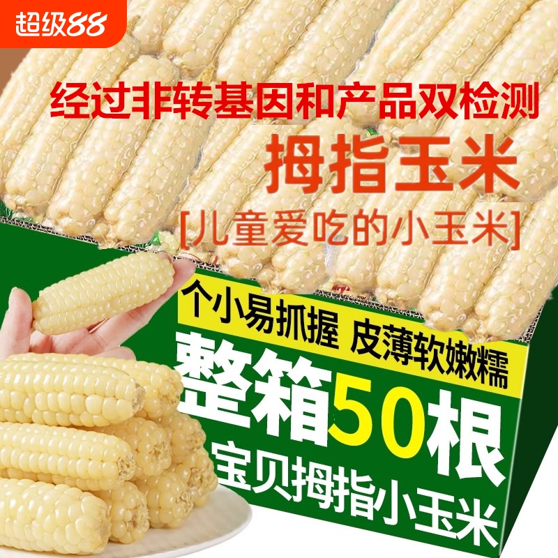 【适合宝宝的小玉米】皮薄无渣
