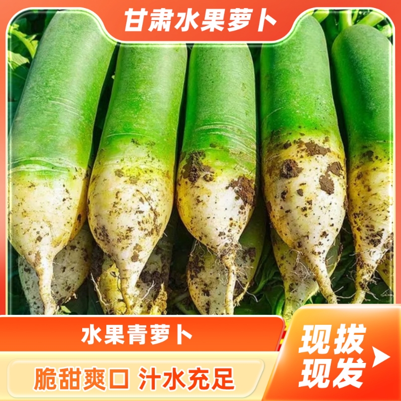 天津沙窝萝卜脆甜|超2000次加购